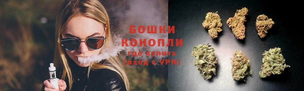 PSILOCYBIN Беломорск